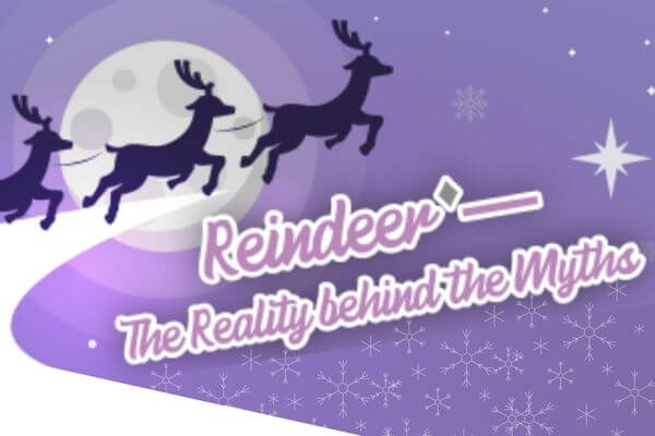 揭開馴鹿的神祕面紗 Reindeer— The Reality behind  the Myths